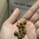 형제에너지 | 강아지가 좋아하는 꾹펫 저알러지 소프트사료 반습식 에너지 케어 후기