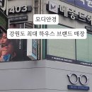 모디안경 이미지