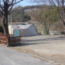 서울 근교 애견동반 캠핑장 여주 캠핑주막 댕댕사이트 후기