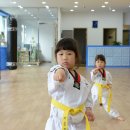 용인대블루드래곤태권도 이미지