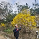 오창중학교 이미지