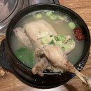 미가꼬끼요 이미지