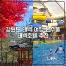 태백산로 | 강원도 아이랑 여행 가족숙소 온수풀 수영장 태백호텔 추천