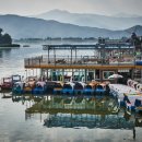 황금비늘 테마거리 이미지