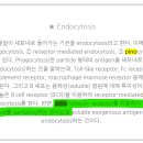 1권 7장 세포막의 구조와 물질수송 184페이지 피노시토시스(pinocytosis) 이미지