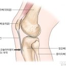 규 이미지