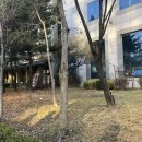 태원동물병원 네이버블로그