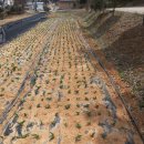 노지하우스 이미지