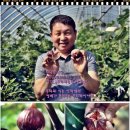 영배농장 이미지