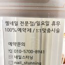 센스펫(노은점) | 대전 지족동 노은역 네일샵 맛집, 감성·디자인·케어 모두 만족했던 ‘네일 스터닝’ 방문 후기