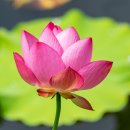 초막골 생태공원 이미지