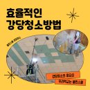 클린스쿨 부산 이미지