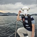 여수여행을 오셨다면 퍼스트 마린 대형 요트체험 추천드려요