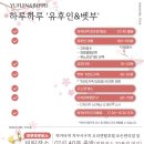 7월 여름 후쿠오카 여행 | 하루하루투어 유후인 투어 솔직 후기