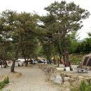 제원면오토캠핑장 이미지