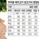 방전된 몸… ‘아미노산 덩어리’ 돼지고기로 충전 이미지