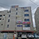 메밀꽃돼지 | 전주안경점 추천 빠르고 꼼꼼한 피팅 한빛안경 추천