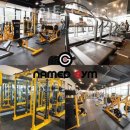 네임드짐 휘트니스 이미지