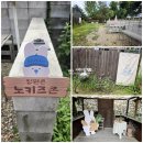 포토시그니처꿈의숲아이파크 | [고양 가볼만한 곳] 완전 오솔길 끝 비밀 공간! 안녕정원 초당옥수수 파르페 & 소금빵 내돈내산 후기