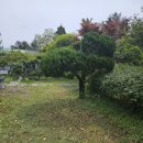 대흘샬레 이미지