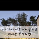 더 미쁨 풀빌라 이미지