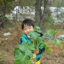 무랑농장 이미지