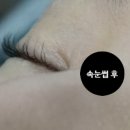 바이은경