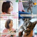 순규농장 네이버블로그