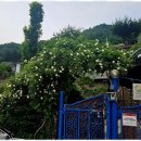 자연사랑펜션 이미지