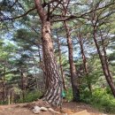 울진군립추모원 봉안당 이미지