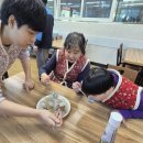힐링푸드 - 올방개묵 샐러드 만들기 (2026년 01월 21일) 이미지