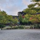 한티별빛아래관광농원야영장 이미지