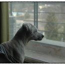 산새랑 게스트하우스 이미지