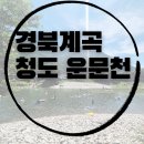 운문천 | 경북계곡 추천] 청도 평상 넓고 물놀이 하기 좋은 운문천 청도계곡에서 10인 가족 물놀이 제대로 즐겼어요!