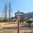 나래공원 | [부천 아이와 봄나들이 추천] 부천루미나래 &amp; 부천자연생태공원 후기