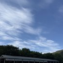 캠프그리너리 | 밀양 키즈 풀빌라 [해브솔캠프]독채풀빌라