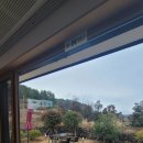 제주살가 이미지