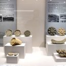 국립부여박물관 이미지