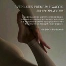 이브필라테스교육원