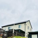 포독스1 이미지