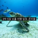율스네일 | 3박 5일 보홀 여행 일정, 경비, 꿀팁, 주의사항