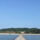 동백유원지 이미지