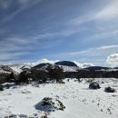 오름부동산공인중개사사무소 이미지