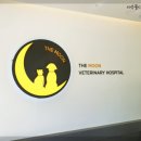 더문 동물병원 이미지