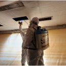 (주)비텍스 이미지