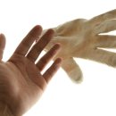 소묘/드로잉 이미지