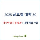 전남대학교 글로컬미래전략대학원 | 2025 글로컬 대학 30 본지정 결과 : 단독, 통합 대학교의 혁신 전략, 주요 사업 내용