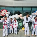 아랑태권도 이미지