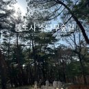 41190-01-07-108 | 양산 통도사 우담바라꽃 위치 무풍한송로 소나무숲길 소요시간 부대시설