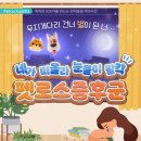 이리온 동물메디컬센터 이미지